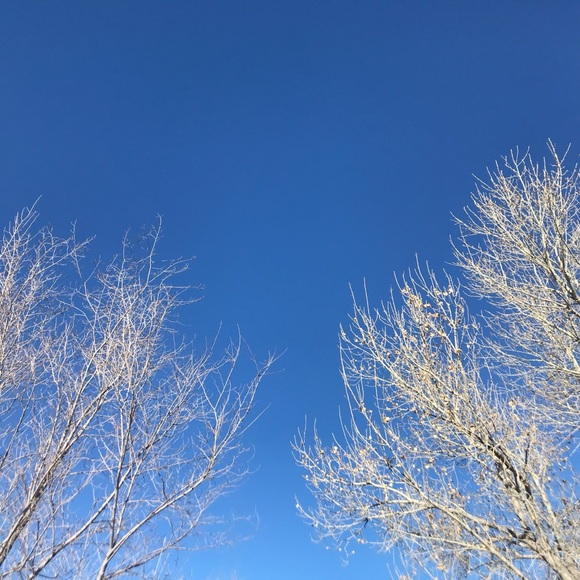 Meet your Posher, JM . - Picture 5 of 6